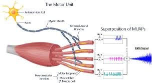 image(3)